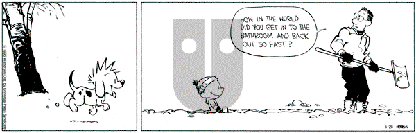 Calvin and Hobbes on Saturday January 28, 1995 Comic Strip