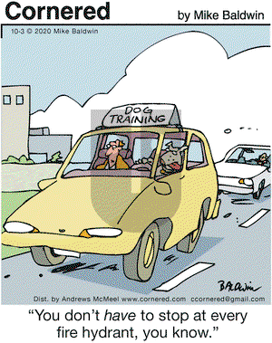 Cornered on Saturday October 3, 2020 Comic Strip