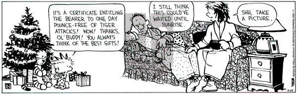 Calvin and Hobbes on Friday December 25, 1992 Comic Strip