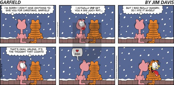 Garfield on Sunday December 16, 2018 Comic Strip