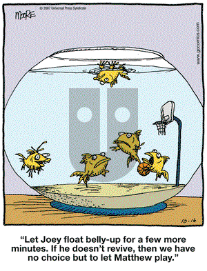 In the Bleachers on Tuesday October 16, 2007 Comic Strip