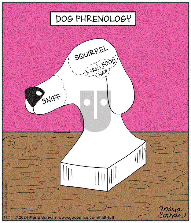 Half Full - Monday November 11, 2024 Comic Strip