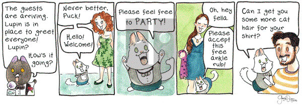 Breaking Cat News on Friday August 5, 2016 Comic Strip