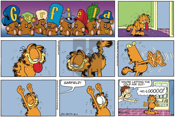 Garfield on Sunday August 11, 2002 Comic Strip