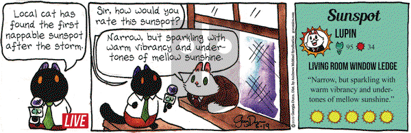 Breaking Cat News on Monday August 19, 2019 Comic Strip