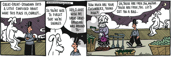 Overboard on Saturday April 25, 2009 Comic Strip