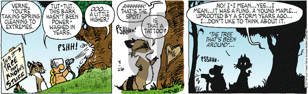 Over the Hedge on Wednesday April 26, 2017 Comic Strip