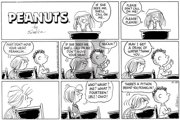 Peanuts on Sunday October 30, 1988 Comic Strip