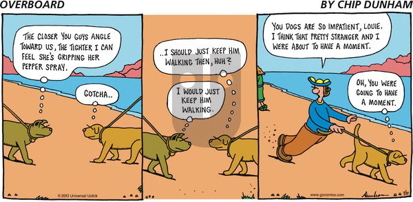 Overboard on Sunday July 21, 2013 Comic Strip