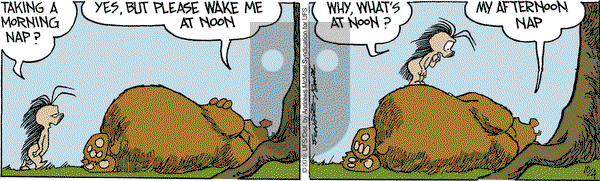 The Grizzwells on Thursday October 4, 2018 Comic Strip