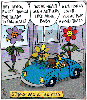 The Argyle Sweater on Saturday May 16, 2015 Comic Strip
