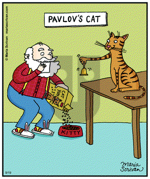 Half Full on Thursday September 19, 2013 Comic Strip