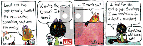 Breaking Cat News - Friday May 20, 2022 Comic Strip