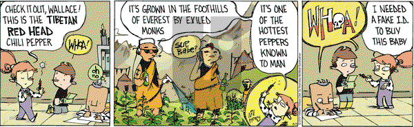 Wallace the Brave on Monday June 3, 2019 Comic Strip