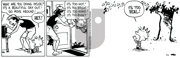 Calvin and Hobbes on Friday July 3, 1992 Comic Strip