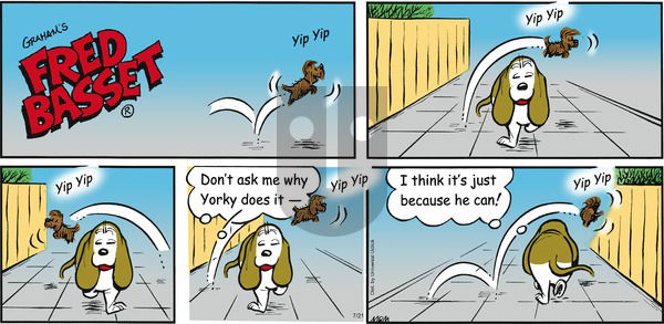 Fred Basset on Sunday July 21, 2013 Comic Strip
