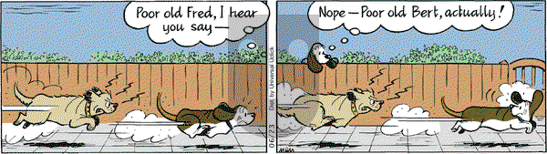 Fred Basset on Wednesday June 23, 2010 Comic Strip
