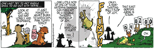 Over the Hedge on Thursday June 7, 2007 Comic Strip