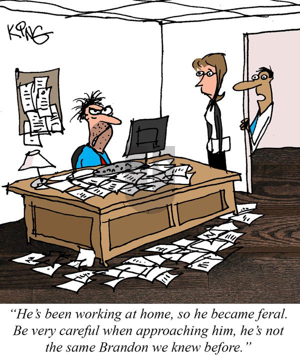 Jerry King Comics on Sunday May 11, 2025 Comic Strip