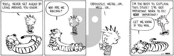 Calvin and Hobbes on Monday February 7, 1994 Comic Strip