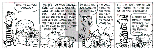 Calvin and Hobbes on Saturday December 9, 1989 Comic Strip