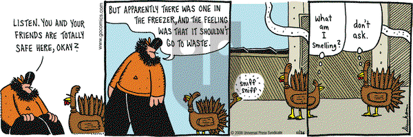 Overboard on Sunday December 7, 2008 Comic Strip