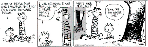 Calvin and Hobbes on Tuesday November 27, 1990 Comic Strip