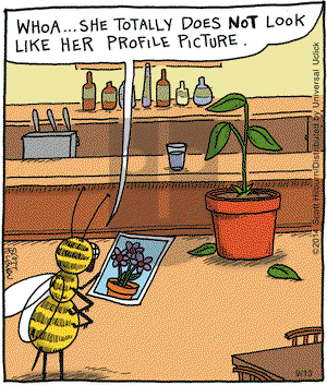 The Argyle Sweater on Saturday September 13, 2014 Comic Strip