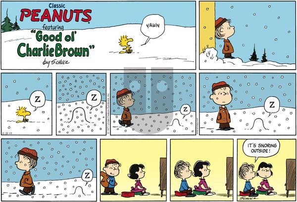 Peanuts on Sunday December 28, 2003 Comic Strip