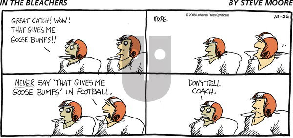 In the Bleachers on Thursday January 29, 2009 Comic Strip
