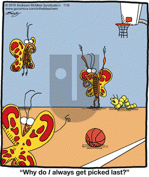 In the Bleachers on Tuesday November 5, 2019 Comic Strip