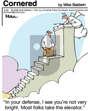 Cornered - Friday September 26, 2008 Comic Strip