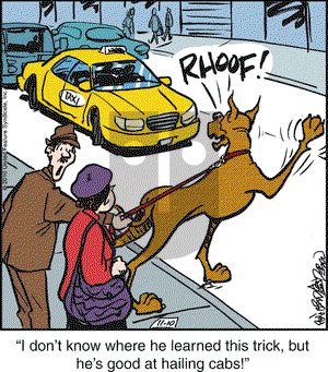 Marmaduke on Wednesday November 10, 2010 Comic Strip