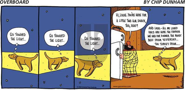 Overboard on Sunday November 2, 2008 Comic Strip