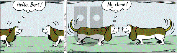 Fred Basset on Thursday January 8, 2015 Comic Strip
