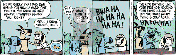 Pooch Cafe on Thursday June 5, 2014 Comic Strip