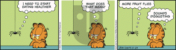 Garfield on Thursday May 29, 2025 Comic Strip