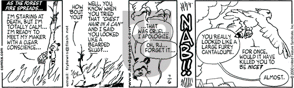 Over the Hedge on Thursday July 6, 2000 Comic Strip