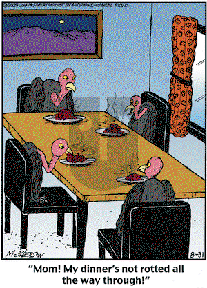 Close to Home on Saturday August 31, 2024 Comic Strip