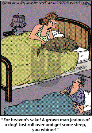 Close to Home on Saturday March 26, 2016 Comic Strip