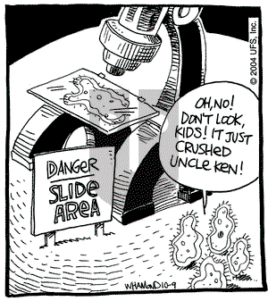 Reality Check on Saturday October 9, 2004 Comic Strip