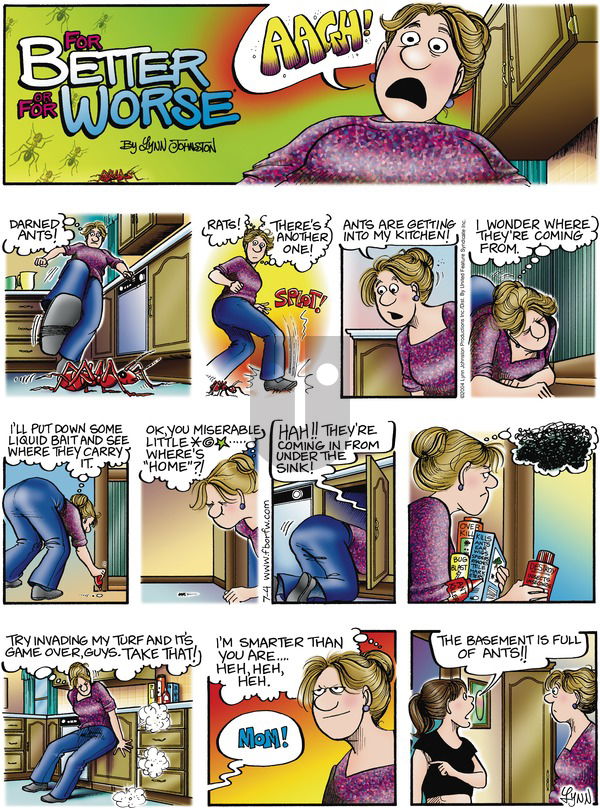 For Better or For Worse - Sunday July 4, 2004 Comic Strip