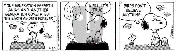 Peanuts on Wednesday January 30, 1991 Comic Strip