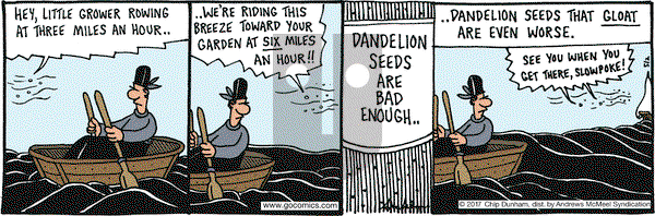 Overboard on Tuesday May 2, 2017 Comic Strip