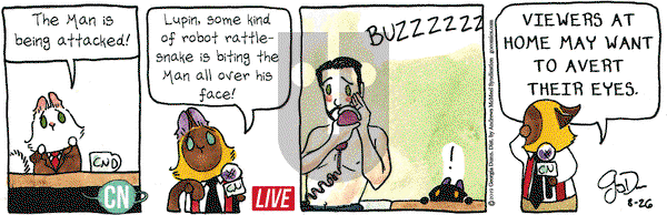 Breaking Cat News on Monday August 26, 2019 Comic Strip