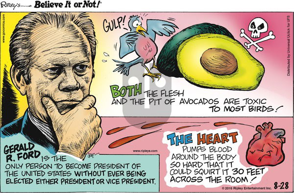 Ripley's Believe It or Not on Sunday August 28, 2016 Comic Strip
