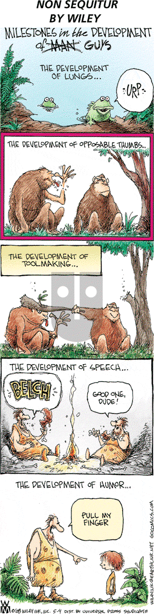 Non Sequitur on Sunday May 4, 2008 Comic Strip