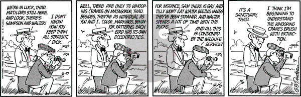 Doonesbury on Thursday June 17, 1982 Comic Strip