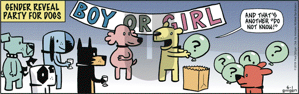 Pooch Cafe on Saturday June 1, 2019 Comic Strip