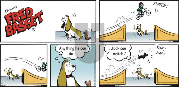 Fred Basset on Sunday September 6, 2020 Comic Strip